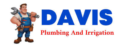 Trusted plumber in NUMIDIA